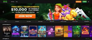 Wild Casino