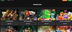 Wild Casino